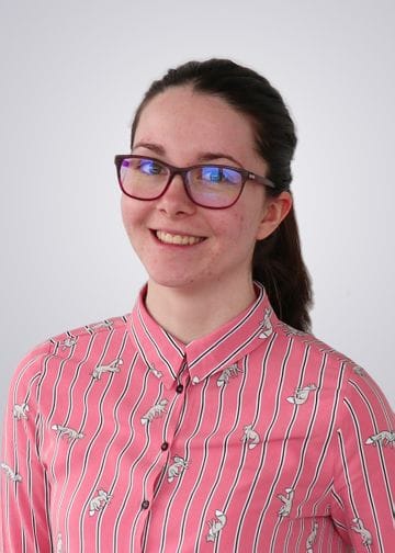 Portrait of Katja, Razvijalka